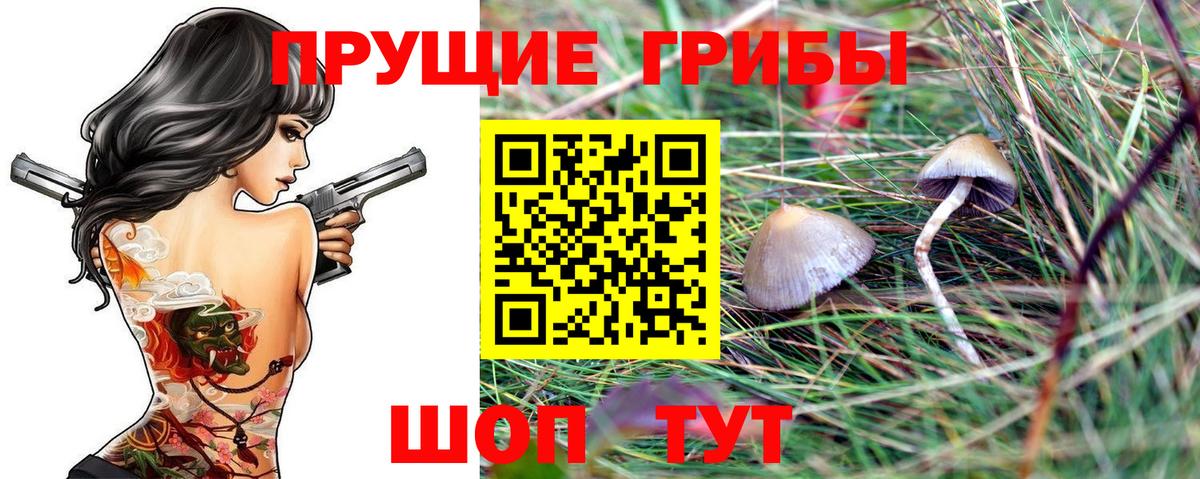 Псилоцибиновые грибы Magic Shrooms Грязи