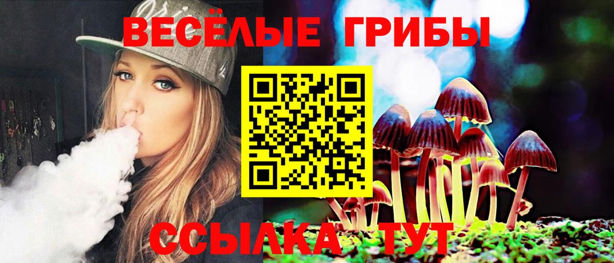 Грязи  купить наркотики сайты  Псилоцибиновые грибы мицелий  Вход с VPN  Галлюциногенные грибы Psilocybe 
